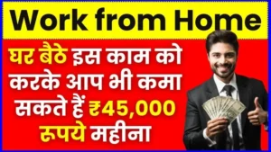 Work From Home: घर बैठे इस काम को करके आप भी कमा सकते हैं ₹45,000 महीना